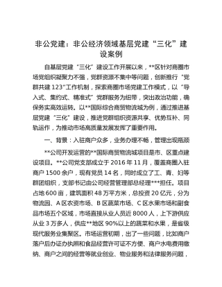 党建经验：非公经济领域基层党建“三化”建设案例