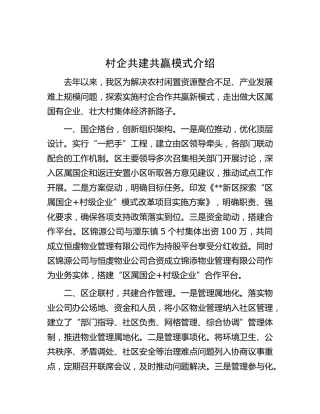 村企共建共赢模式介绍