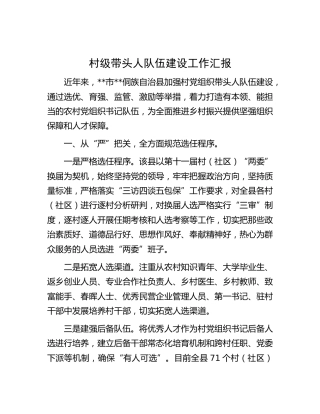 村级带头人队伍建设工作汇报