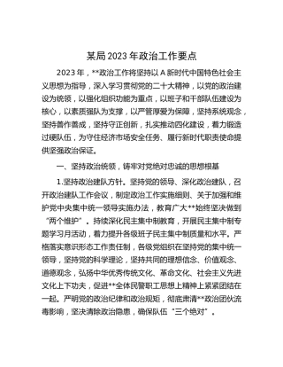 2023年政治工作要点