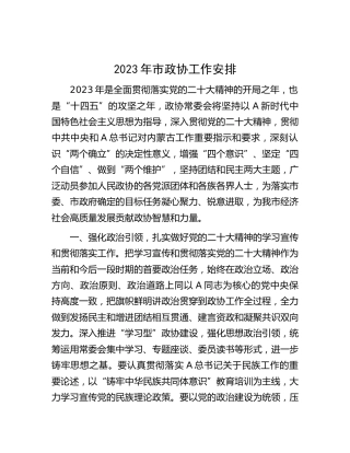 2023年市政协工作安排（计划要点）