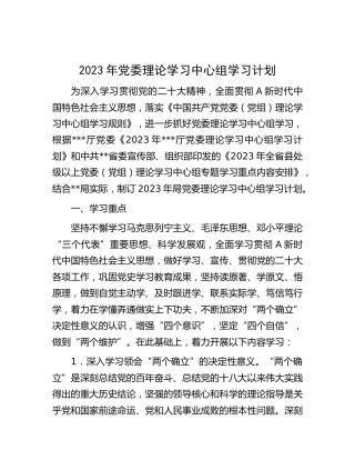 2023年理论学习中心组学习计划5300字