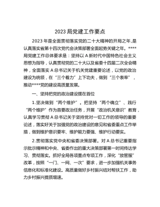 2023年局党建工作要点