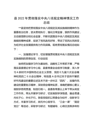 2022年贯彻落实八项规定精神情况工作总结