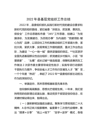 2022年县基层党组织工作总结（组织部）