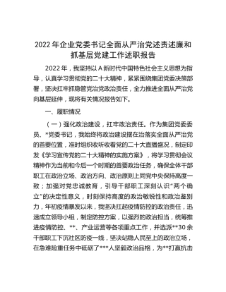 2022年公司党委书记全面从严治党述责述廉和抓基层党建工作述职报告3500字