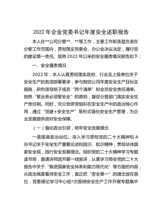 2022年公司党委书记年度安全述职报告