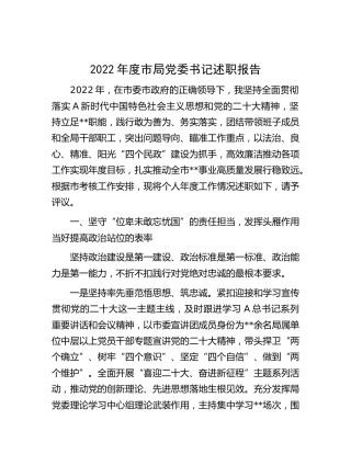 2022年度市民政局党记述职报告