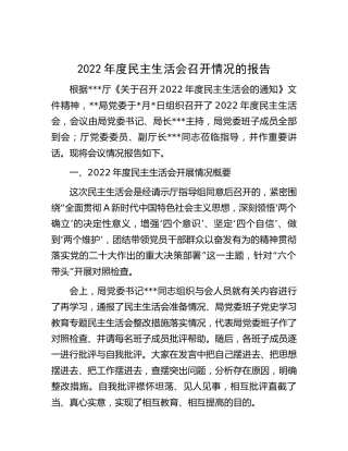 2022年度生活会召开情况总结报告5800字