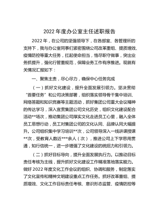 2022年度公司办公室主任述职报告