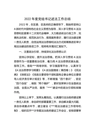 2022年度党组书记述法工作总结2500字