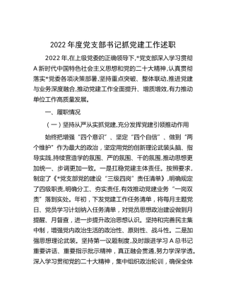 2022年度党支部书记抓党建工作述职2900字