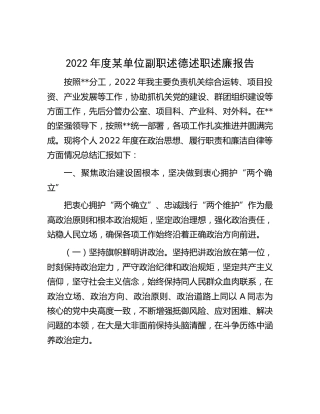 2022年度单位副职述德述职述廉报告6500字