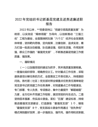 2022年党组织书记抓基层党建及述责述廉述职报告3200字
