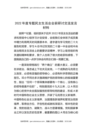 2022年度专题生活会会前研讨交流发言材料