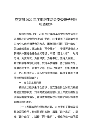 党支部班子2022年度组织生活会对照检查3000字