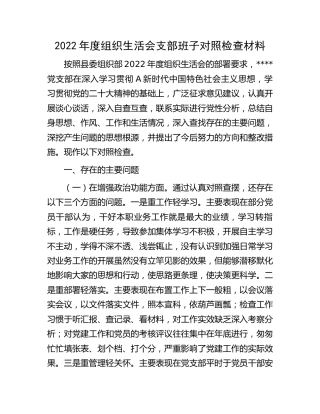 2022年度组织生活会支部班子对照检查2600字