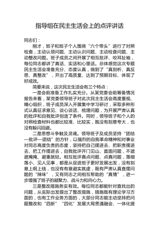 指导组在民主生活会上的点评讲话2300字