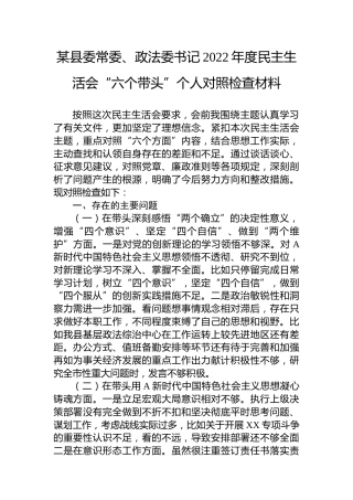 政法委书记2022年民主生活会个人对照检查3900字