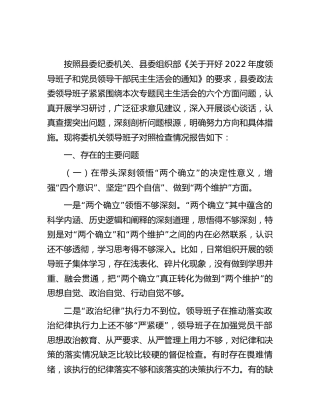 政法委领导班子2022年度民主生活会对照检查6500字