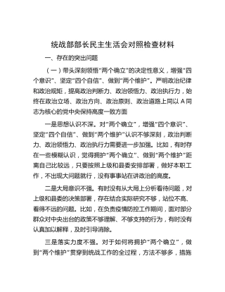 统战部长2022年民主生活会对照检查（草稿）