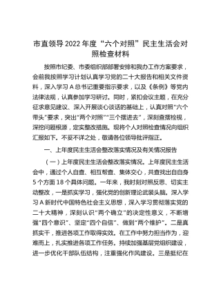 市直领导2022年度民主生活会个人对照检查4900字
