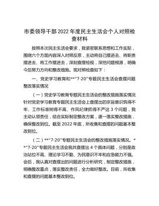 市领导2022年度民主生活会个人对照检查4200字