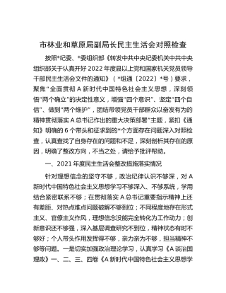 市林业和草原局领导2022年民主生活会个人对照检查