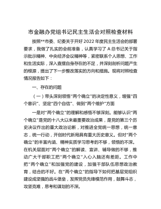 市金融办书记2022年民主生活会个人对照检查