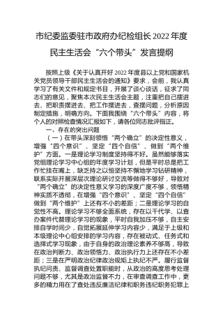 市纪委监委驻政府办纪检组长2022年度生活会个人对照检查7000字