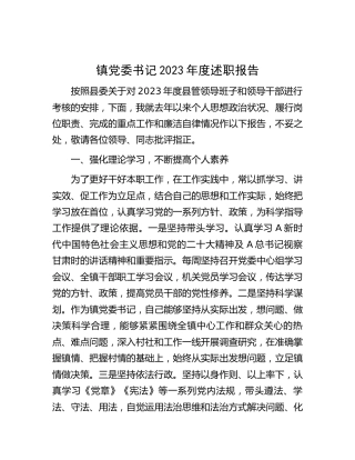 乡镇书记2023年度述职报告3000字