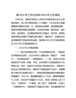 乡镇2023年工作总结和2024年工作谋划