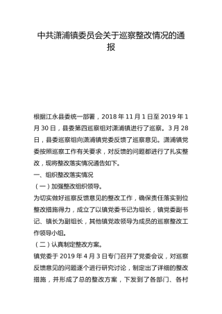 潇浦镇委员会关于巡察整改情况的通报