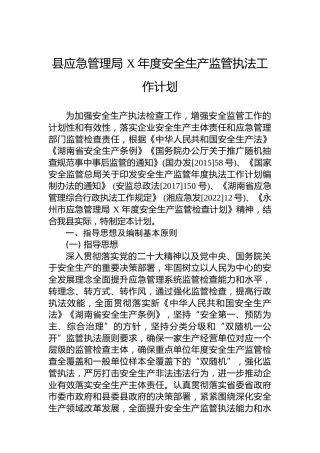 县应急管理局 2023 年度安全生产监管执法工作计划