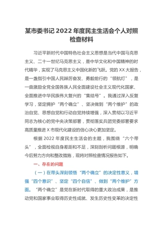 某市委书记2022年度民主生活会个人对照检查材料 (2)