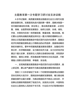 主题教育专题学习研讨发言讲话（5900字高质量发展）