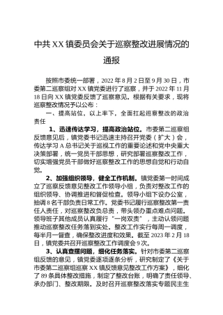 镇委员会关于巡察整改进展情况的通报(20230513)