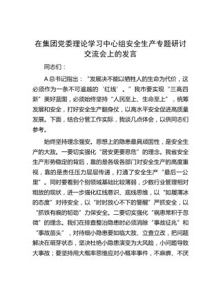 在公司中心组安全生产专题研讨交流会上的发言
