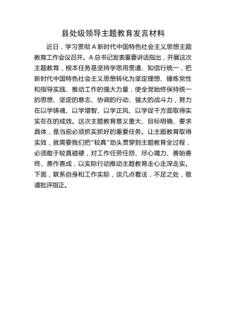 县处级领导主题教育发言材料