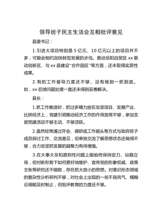 民主生活会互相批评意见（县领导）