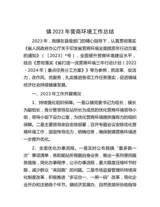 乡镇2023年营商环境工作总结
