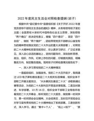 领导班子2022年度民主生活会对照检查（水利6100字）
