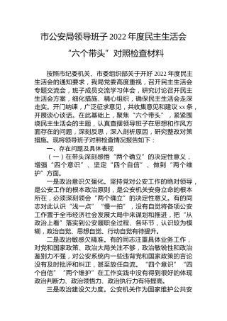 领导班子2022年度民主生活会对照检查（公安5800字）