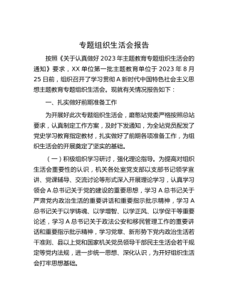 主题教育专题组织生活会情况报告2700字