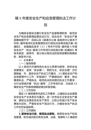 镇安全生产和应急管理执法工作计划