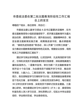 政法委在第二批主题教育阶段性工作汇报会上的发言（2000字总结）