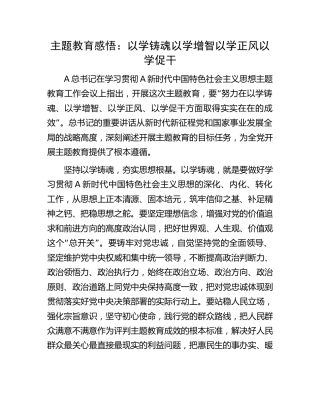 主题教育感悟：以学铸魂 以学增智 以学正风 以学促干