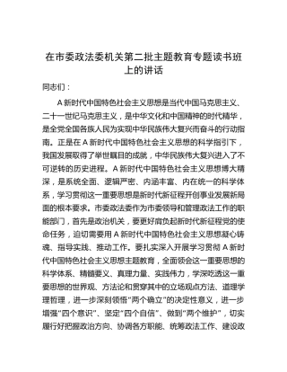 政法委第二批主题教育专题读书班上的讲话3800字