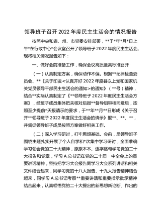 召开2022年度民主生活会的情况总结报告4300字