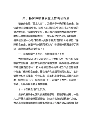 县保障粮食安全工作调研报告